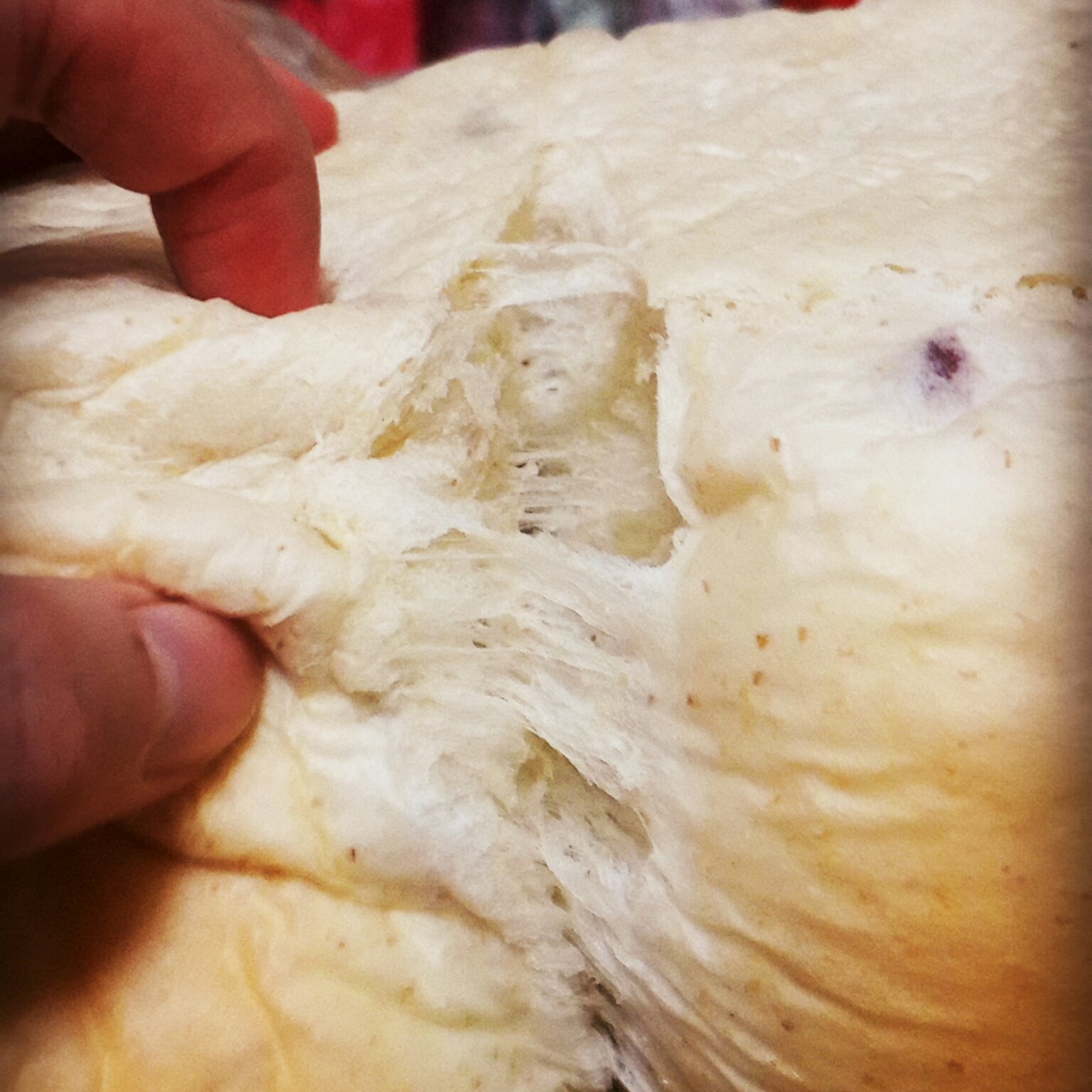 夺命软吐司(๑´ڡ`๑)超软拉丝极速方便的一次发酵吐司