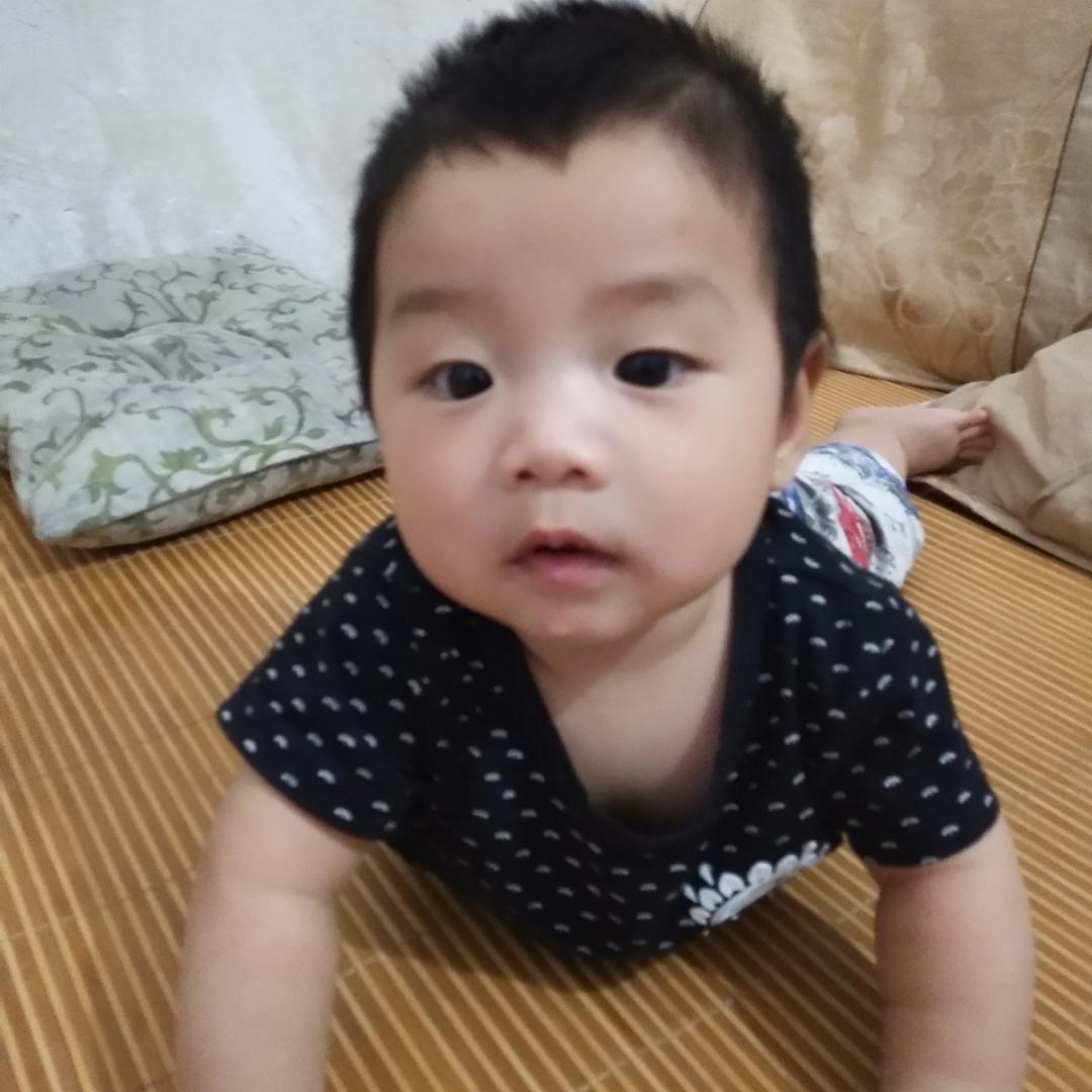 蛋黄酥小金