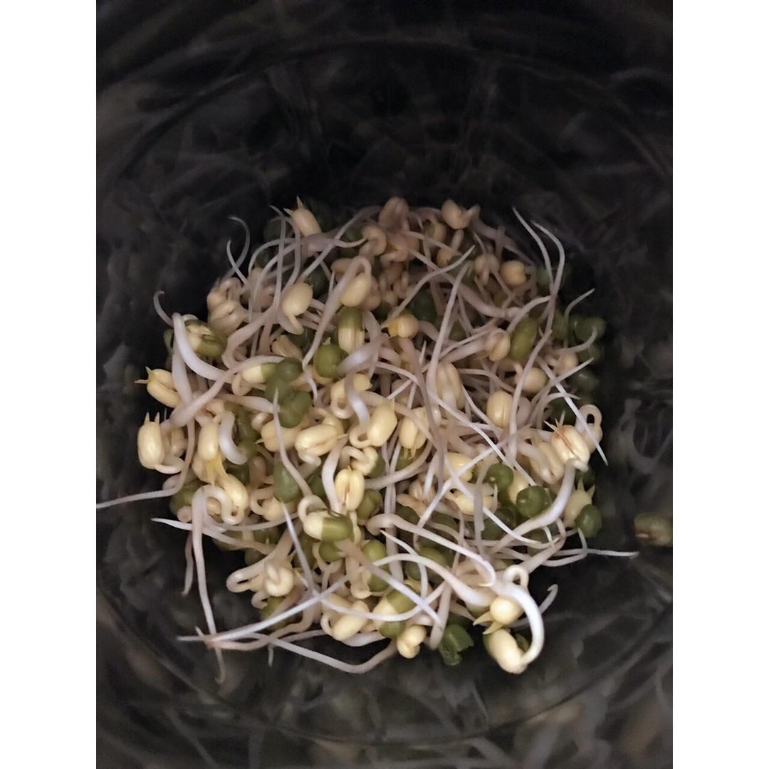 自发豆芽（可乐瓶发豆芽0失败！）