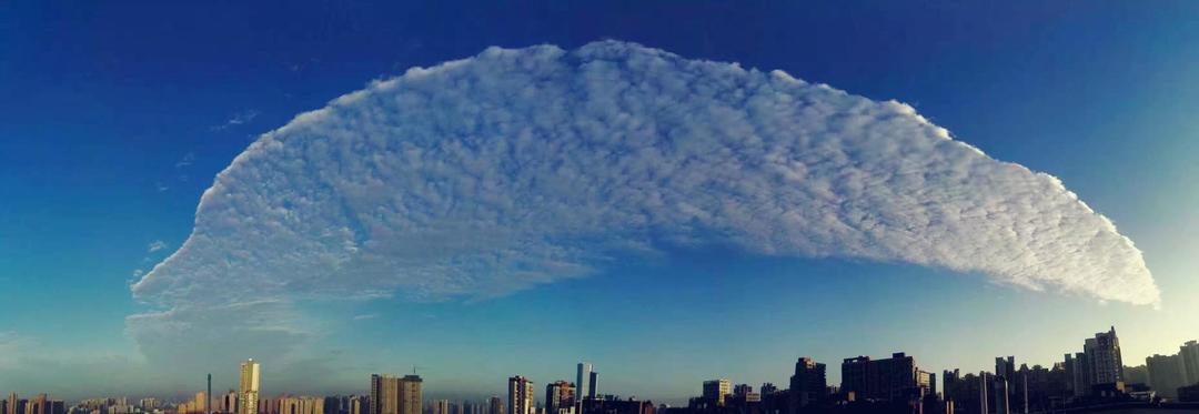 🇩🇪EH凯-简易姜枣茶🇩🇪的做法