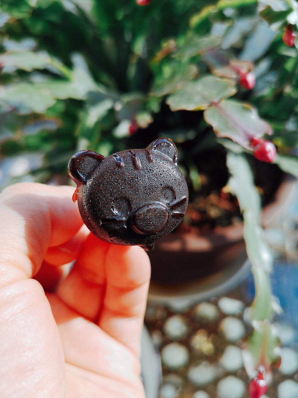 【消除疲劳】仙鹤草红糖膏，中药里的提神咖啡