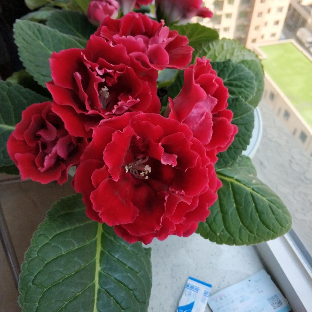 丞吉