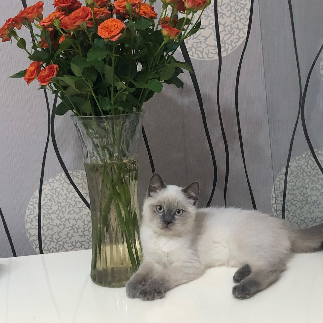 让我看看这次吃点什么呢