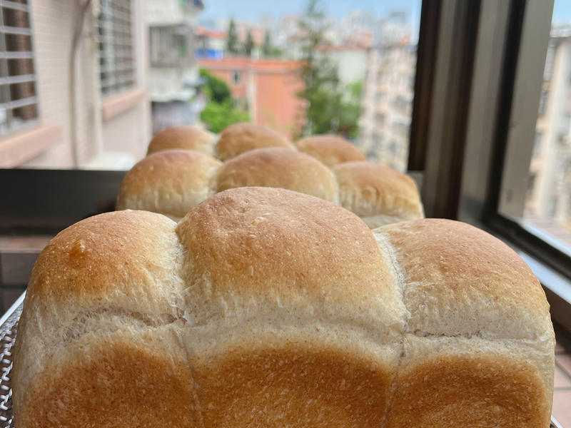 纯奶手撕吐司的做法 步骤1