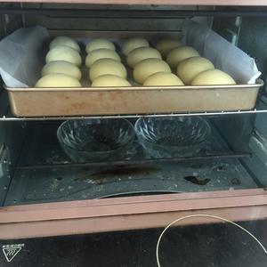 椰蓉蜜豆餐包（内附：蜜豆做法）的做法 步骤7