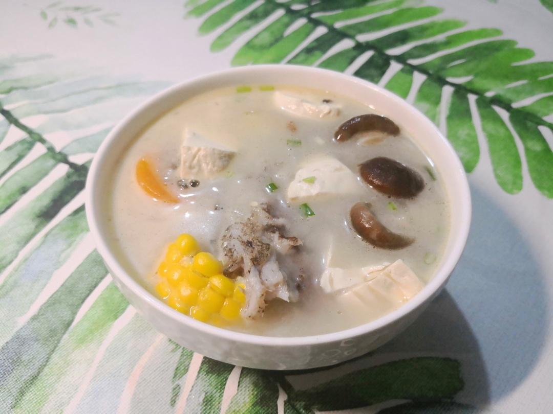 鲫鱼菌菇汤