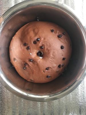 黑眼豆豆（最好吃的巧克力面包）的做法 步骤2