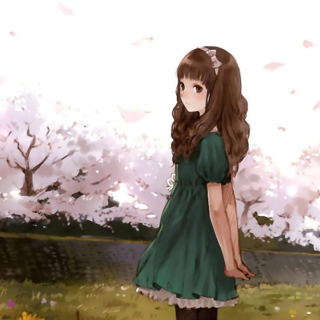 盛夏薇雨