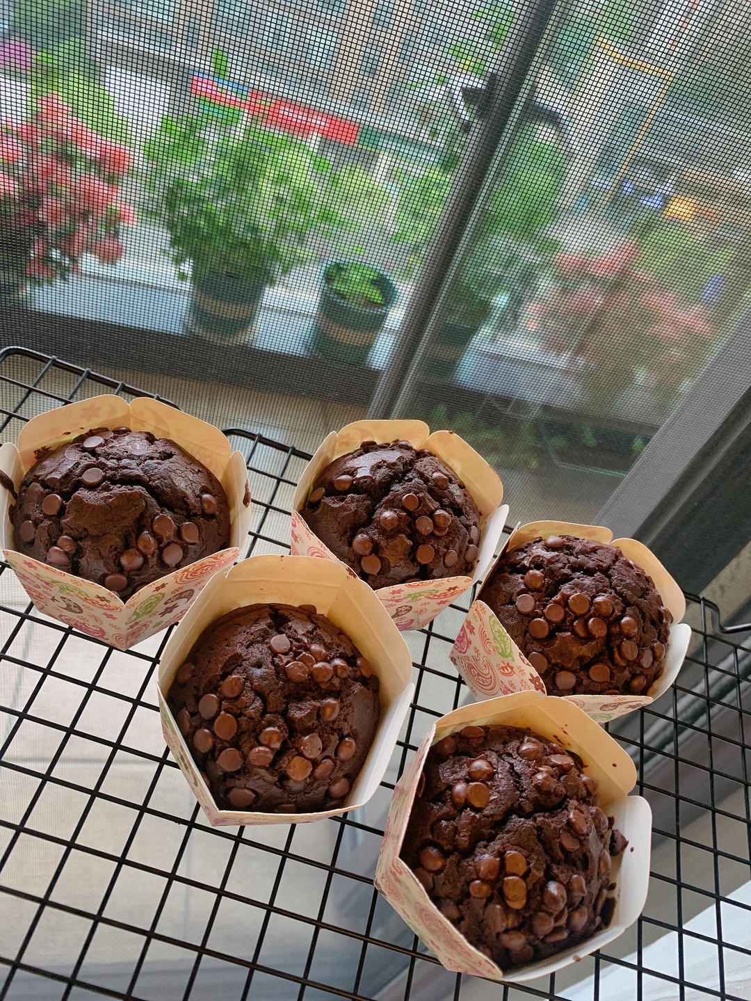 在家做巧克力蘑菇头麦芬蛋糕🍫