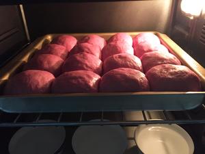紫薯酸奶小餐包（蜜豆馅）的做法 步骤11