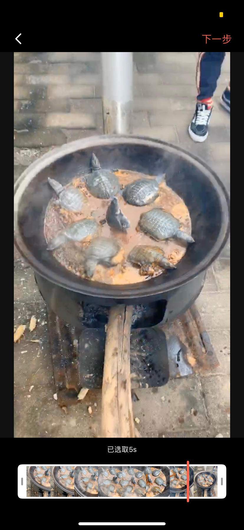 家庭版霸王别姬