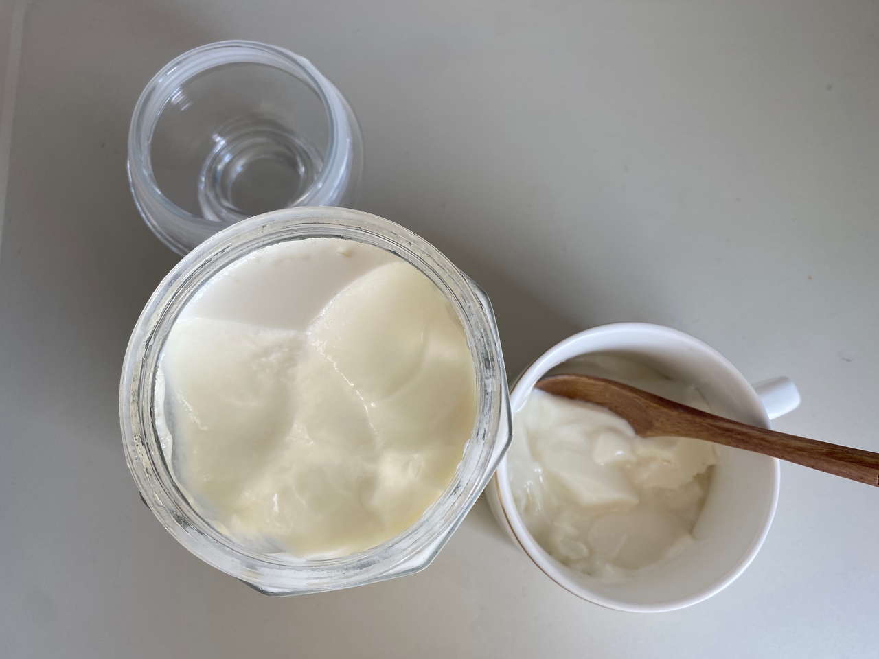 自制酸奶（酸奶作引，无酸奶机）