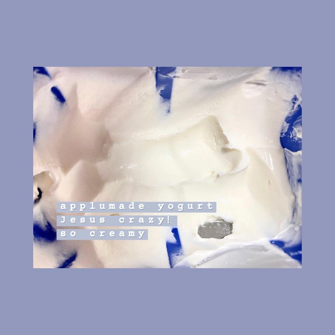 🍎 最最好吃的奶油口感的自制希腊酸奶 健康无蔗糖