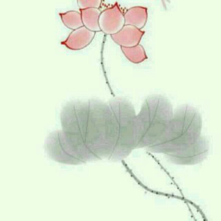 青椒鱿鱼丝丝丝