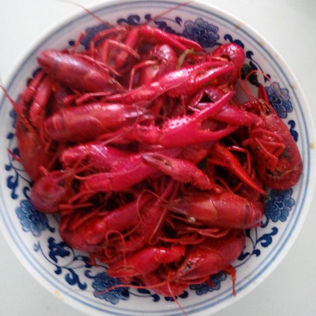 午餐•2014年8月27日