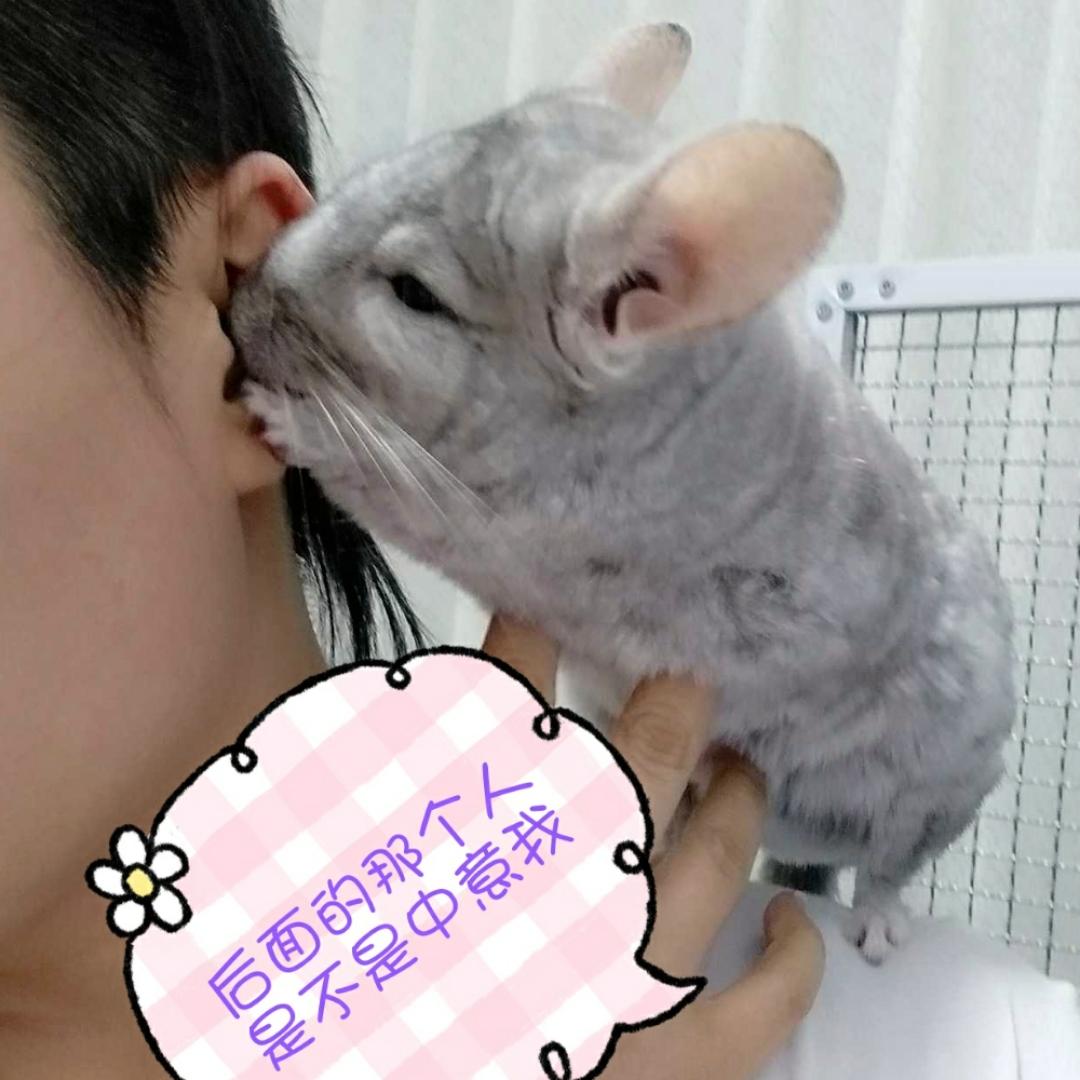 tianyingfly