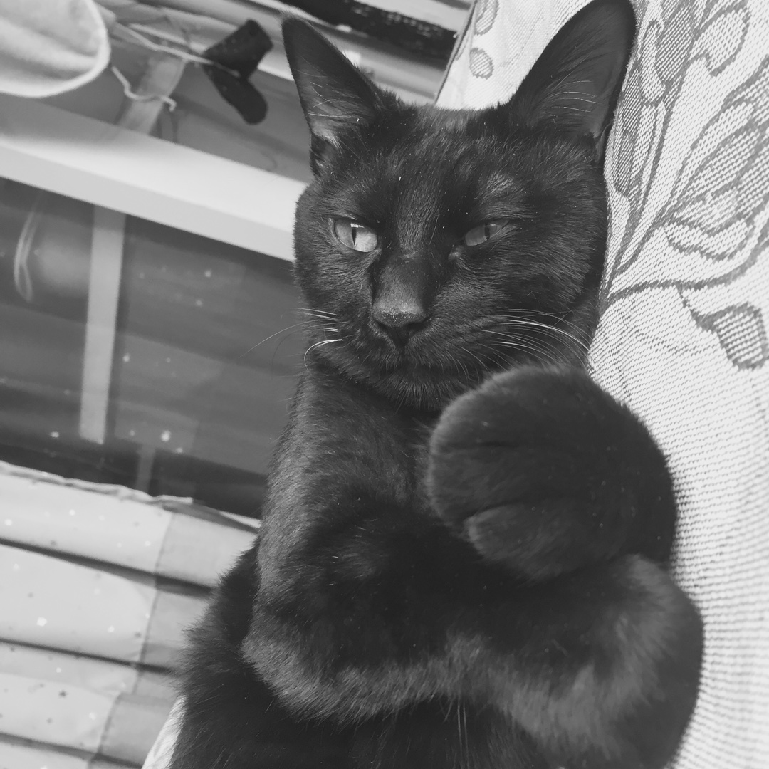 手机用户8618_65l9