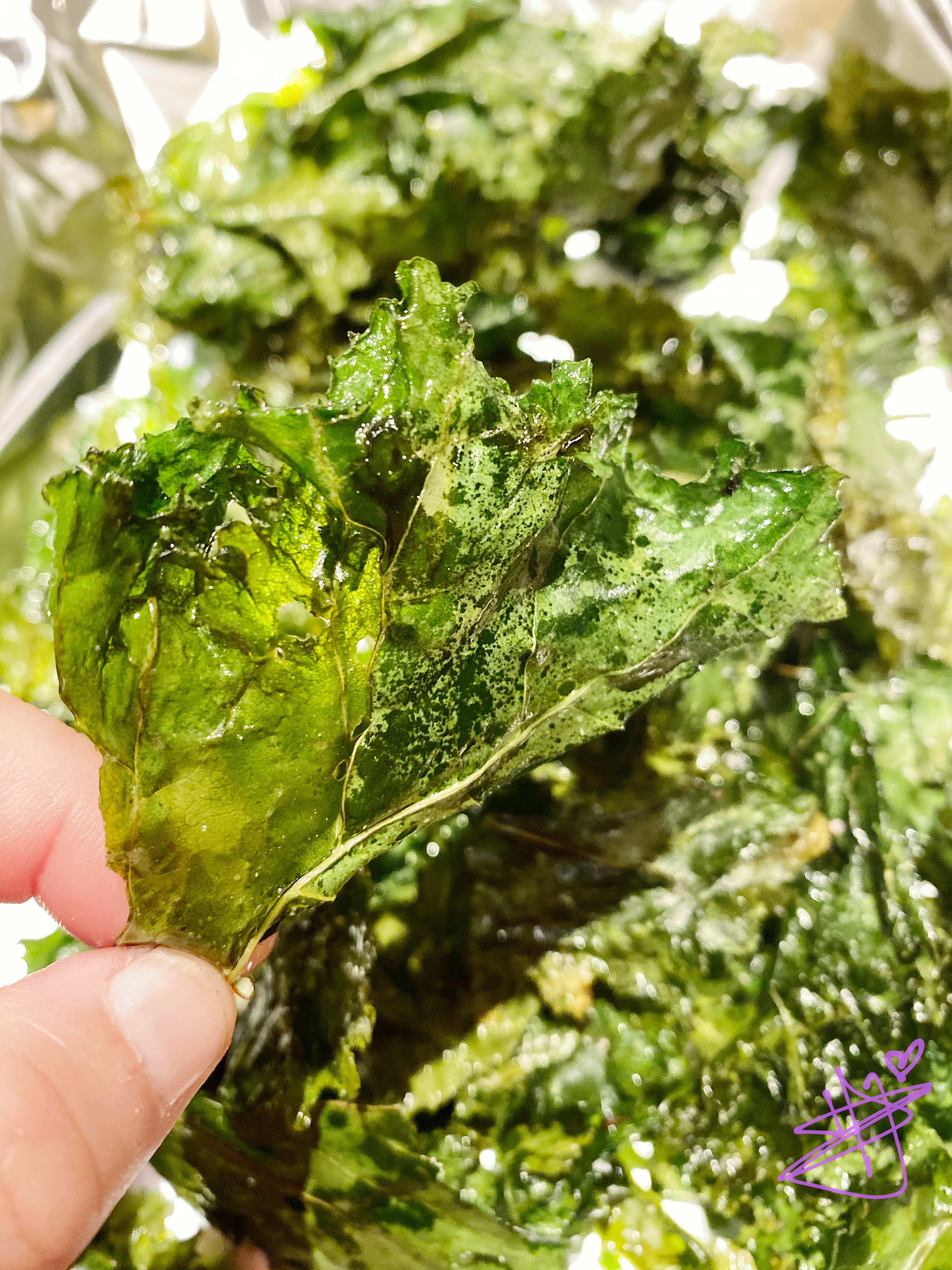 Kale Chips —羽翼甘蓝叶的做法