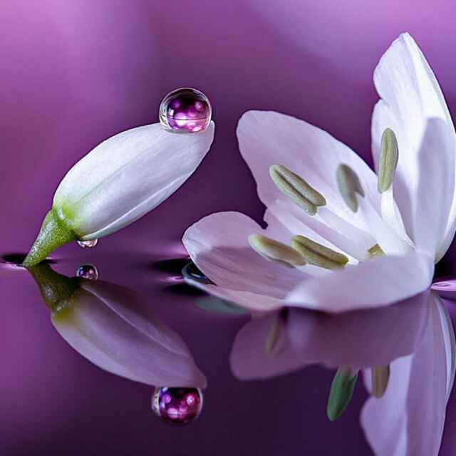 手机用户3552_2mro