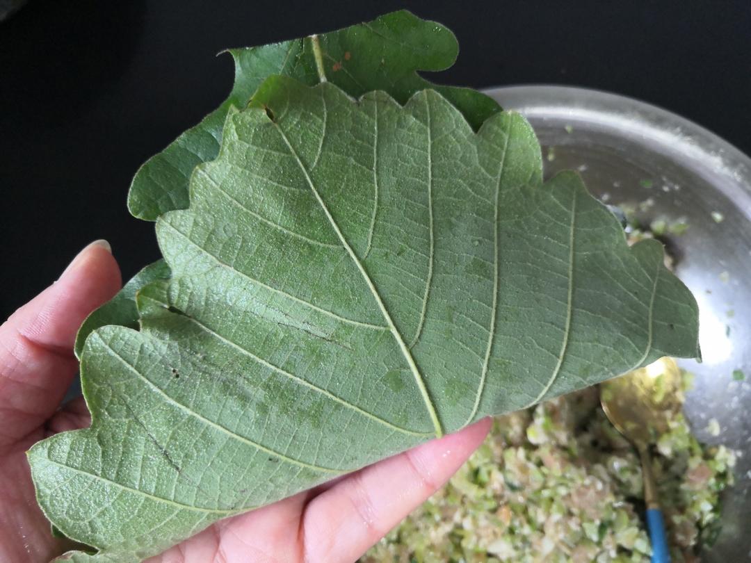 东北特色美食——桲椤叶饼