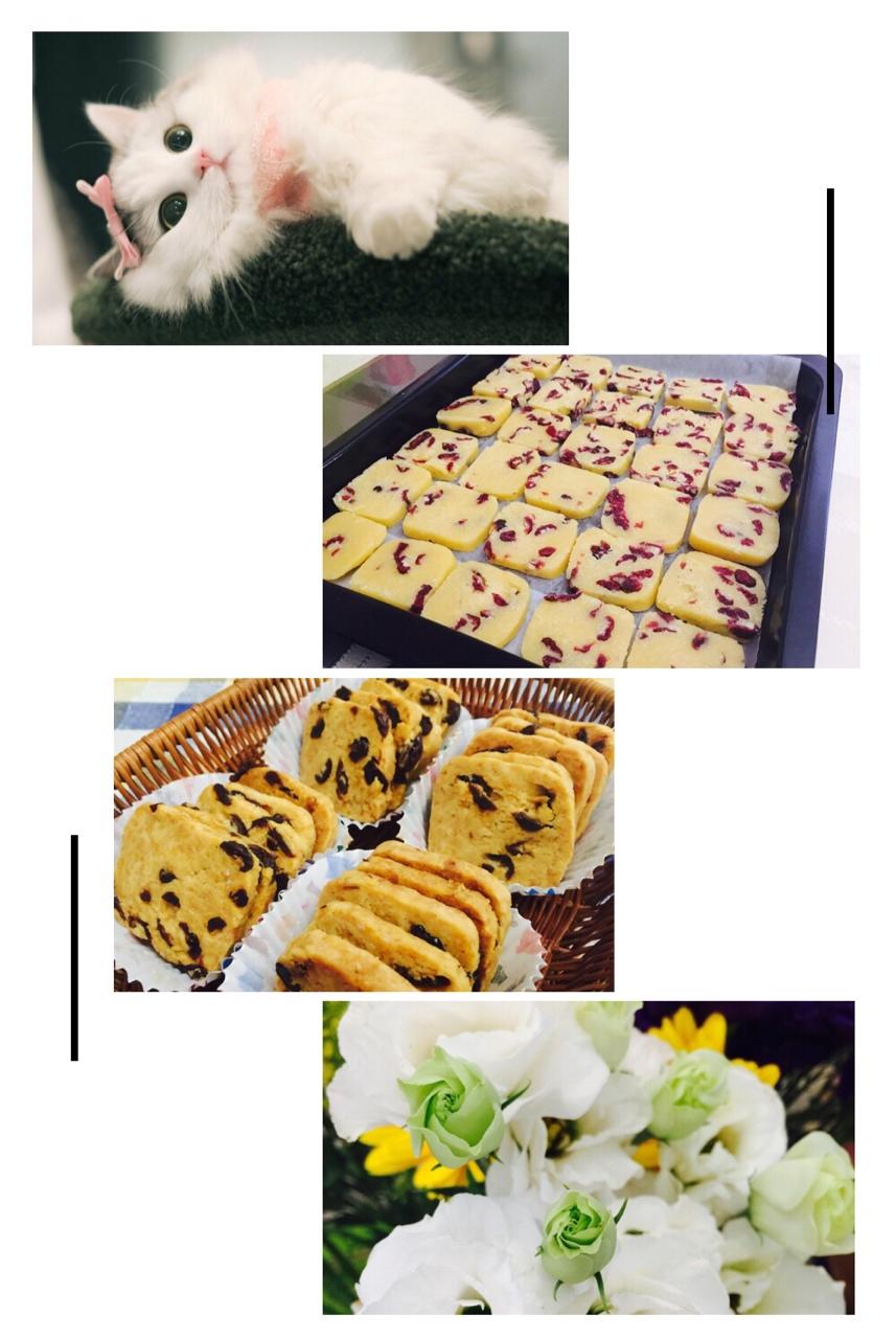 蔓越莓饼干