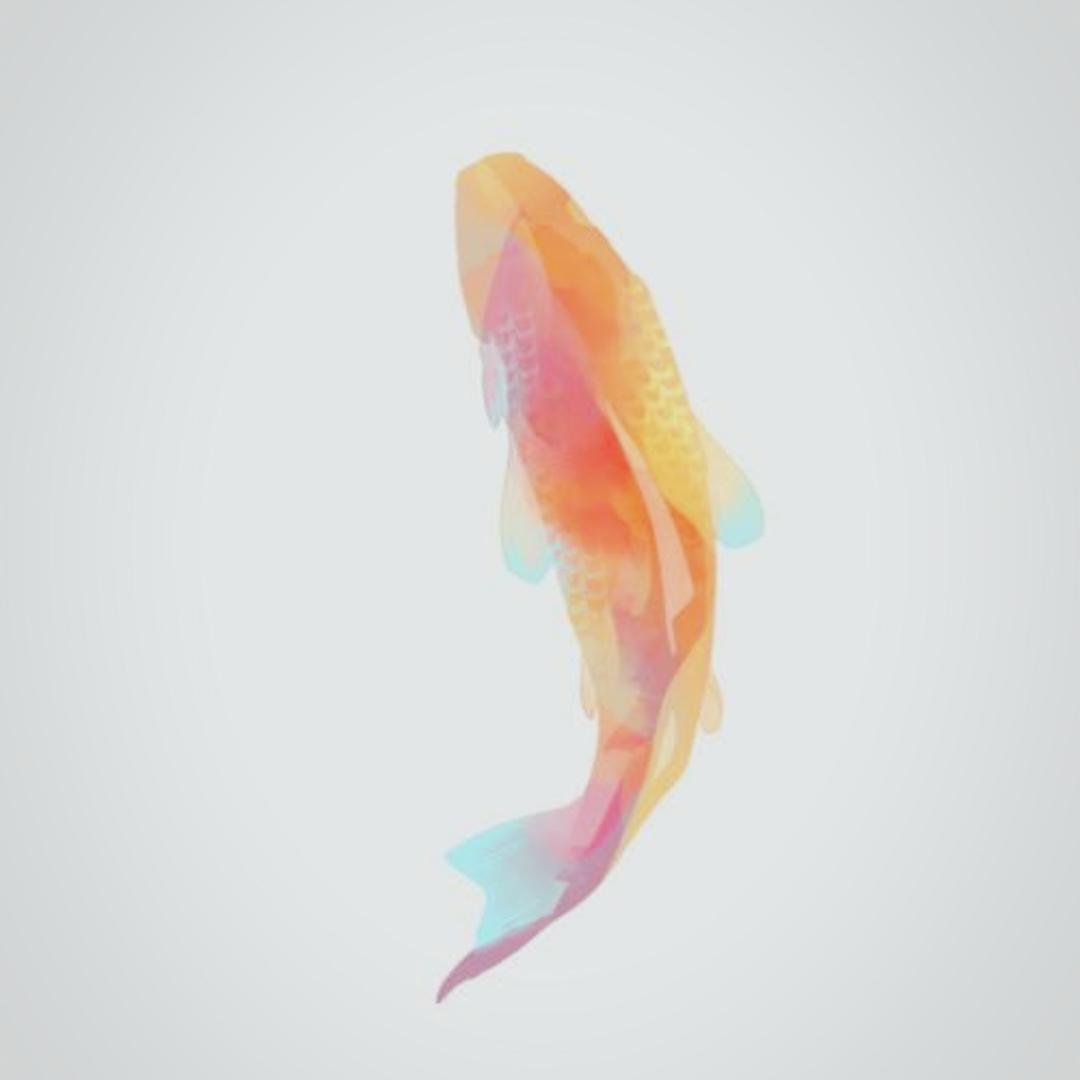 愿降与好运