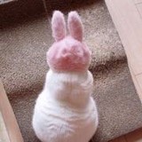 申申肥妈