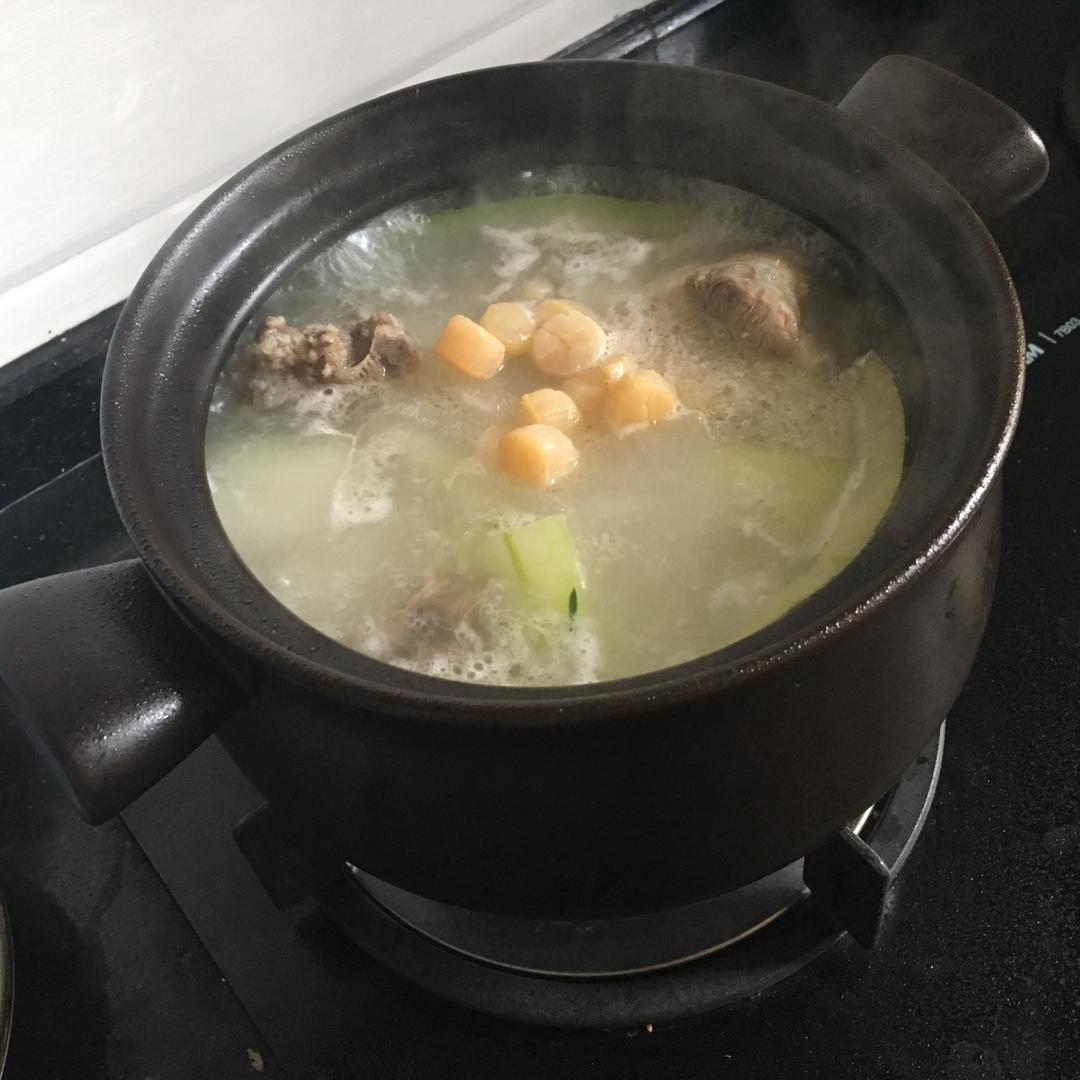 石砳磊做的冬瓜瑶柱排骨汤广东靓汤煲汤版