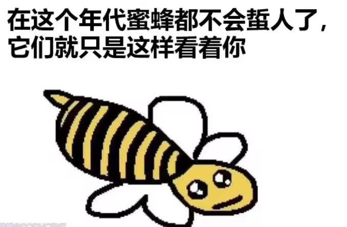 路过企鹅
