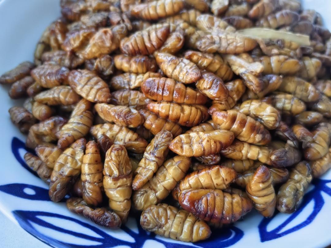 炒金丝蛹