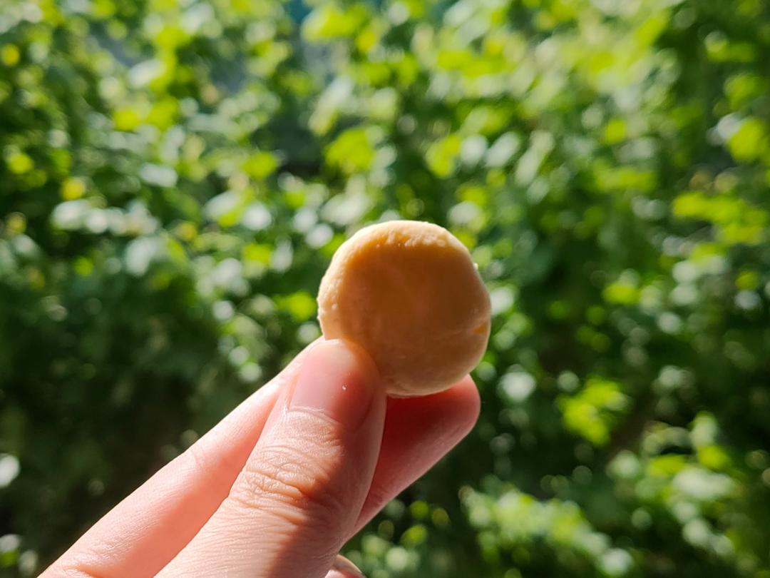 奶香小饼干🍪