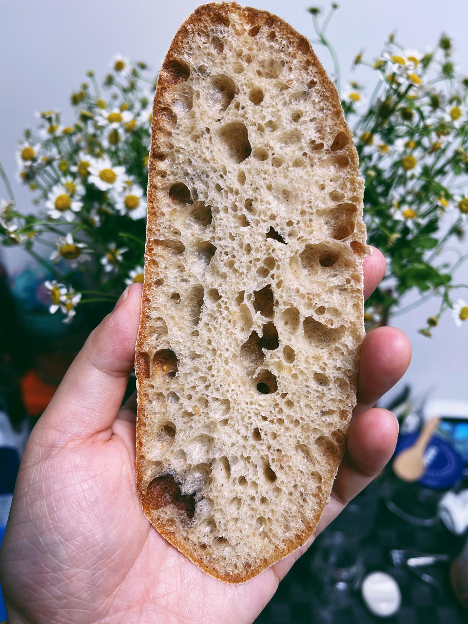 9升烤箱的食物探索
