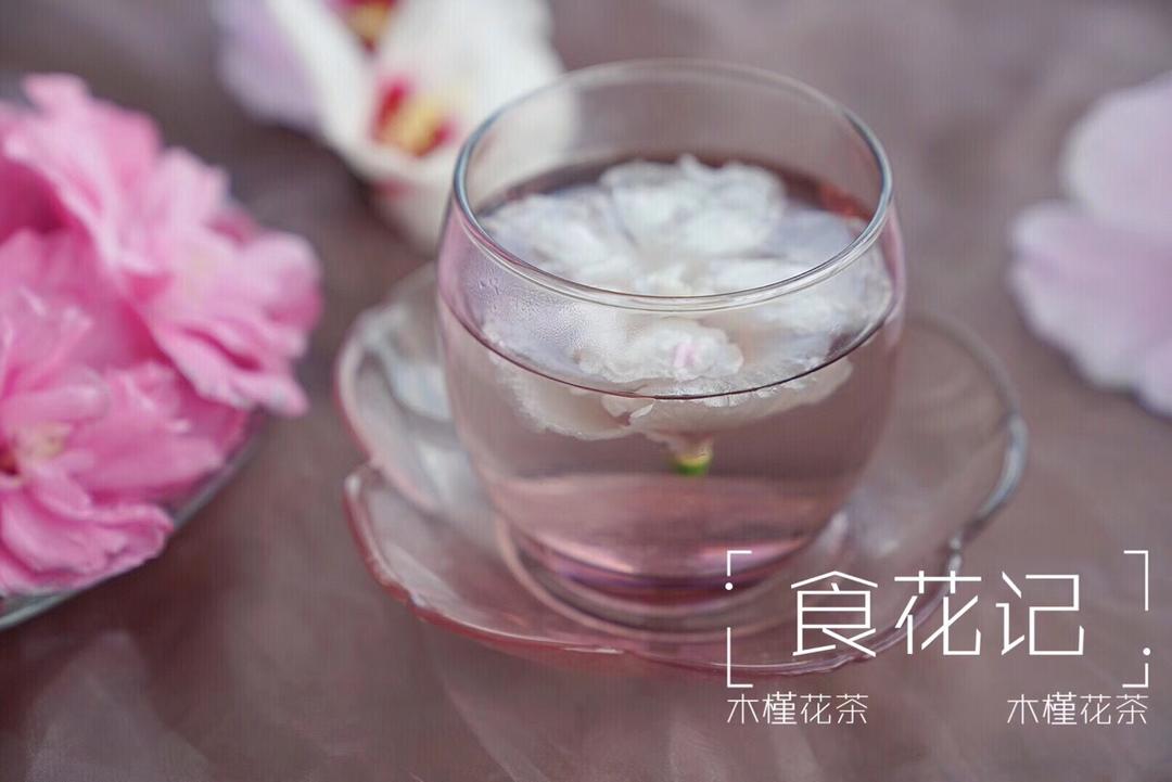 木槿花茶