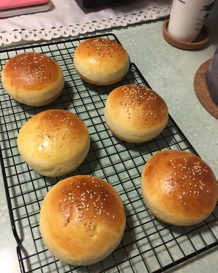 汉堡胚 poolish（波兰种）
