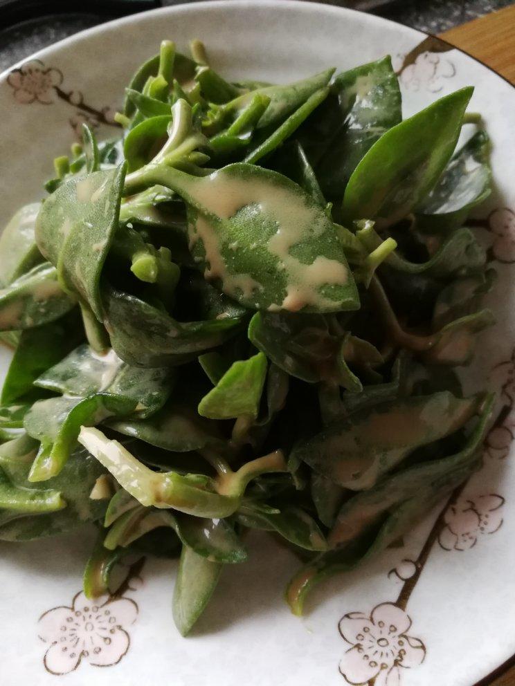 芝麻酱拌穿心莲