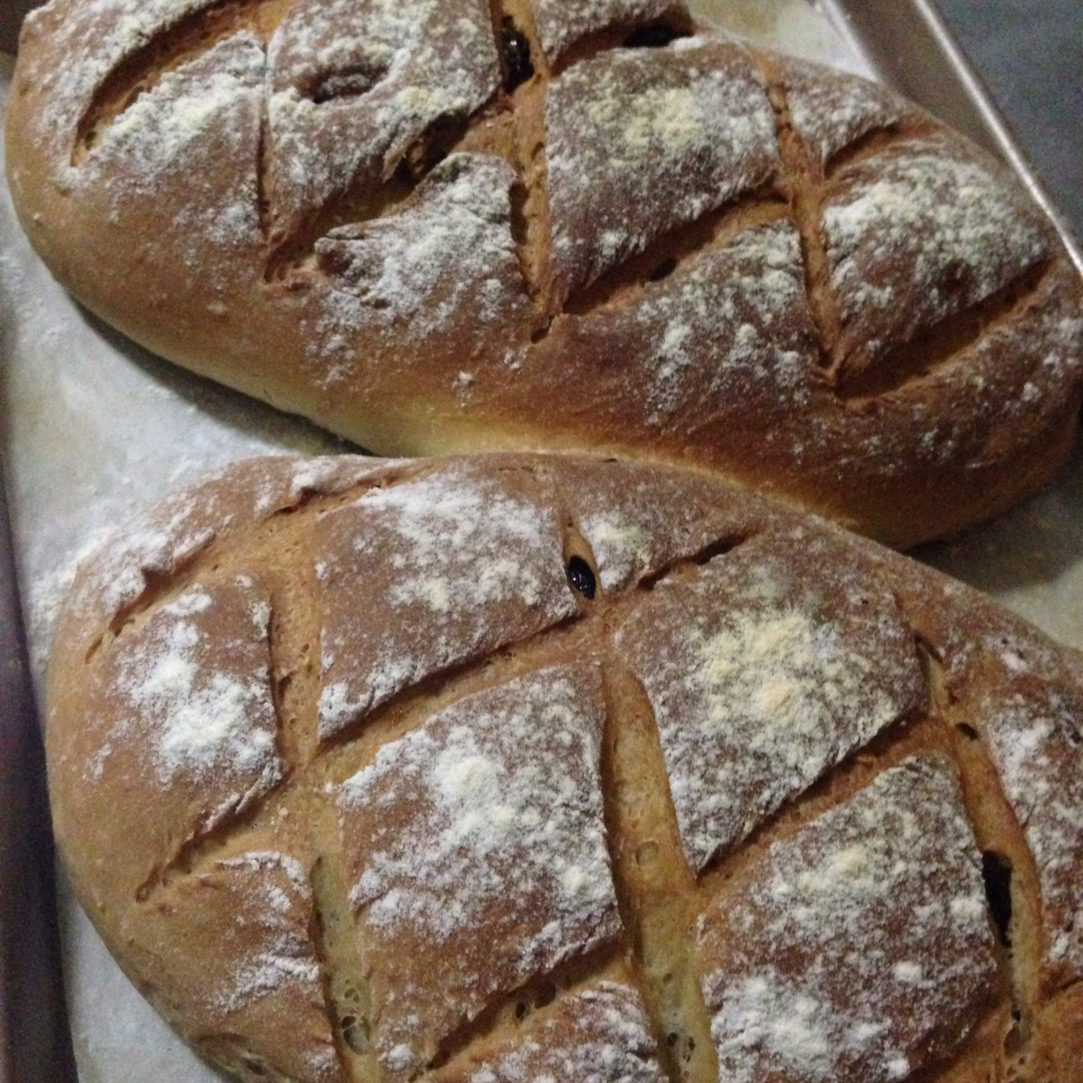 「欧包」经典英式布鲁姆面包 English bloomer