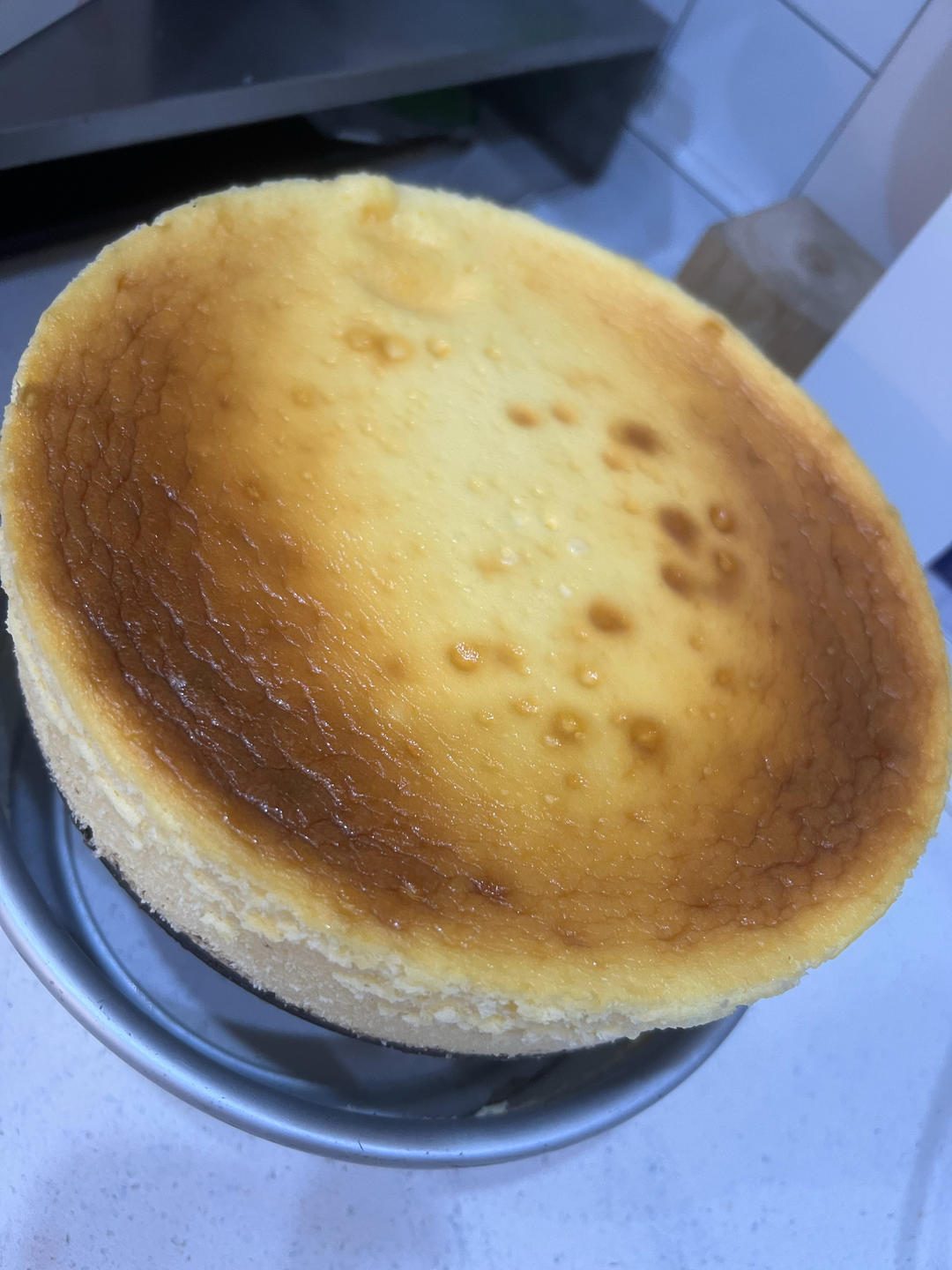 【柴田武】米曲乳酪