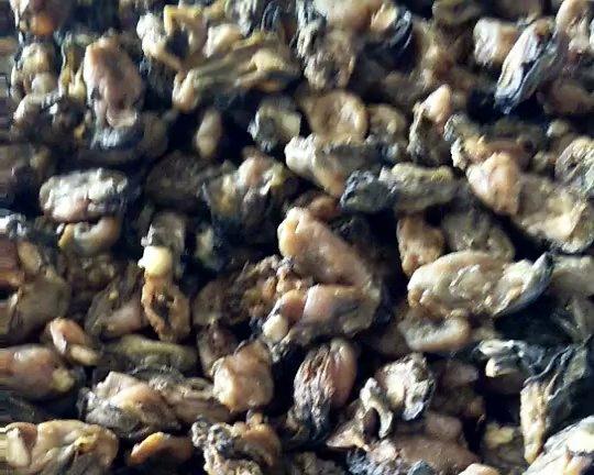 宝宝补锌…牡蛎粉