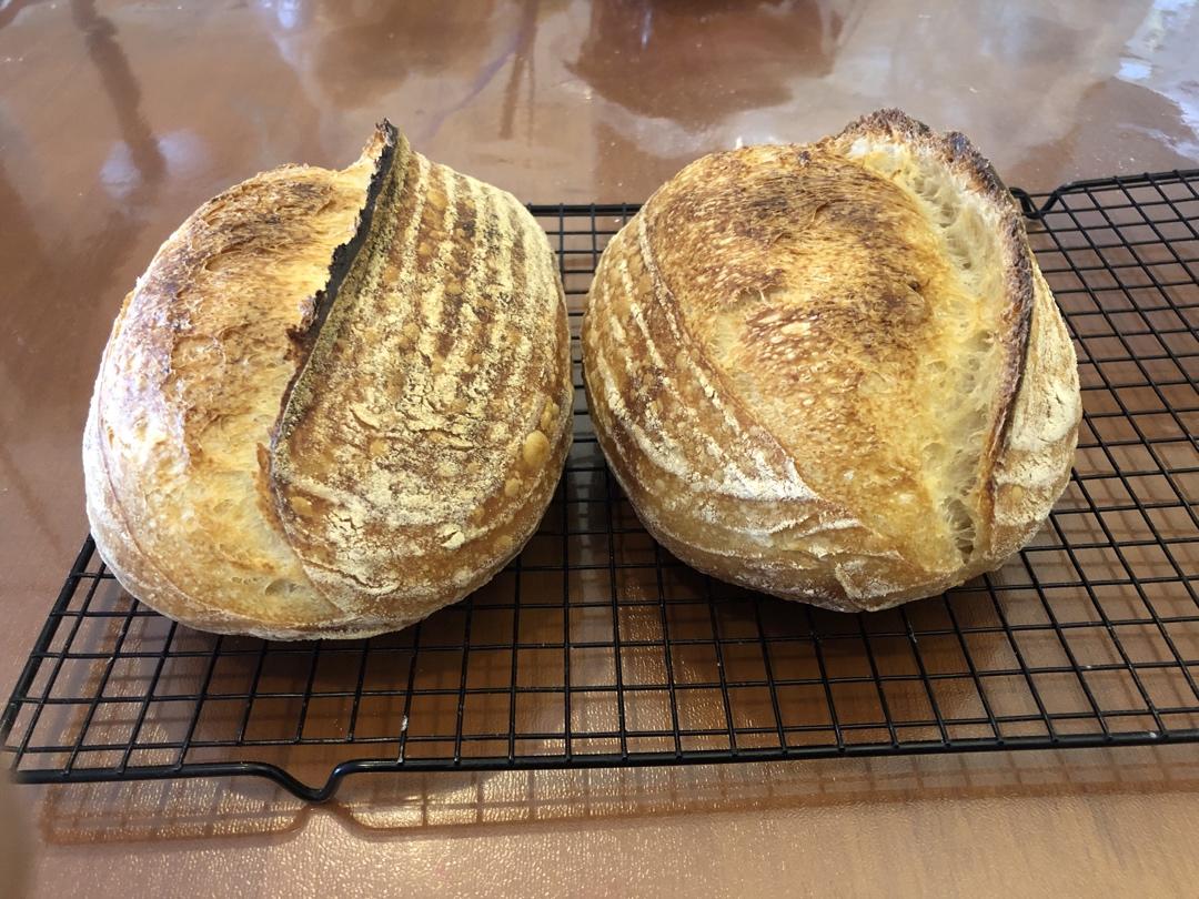 传统硬欧包制作的常见问题