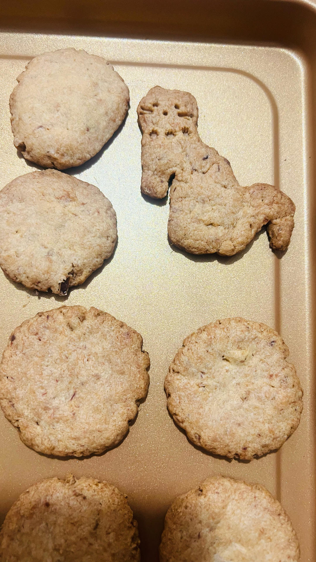 咸蛋黄肉松饼干