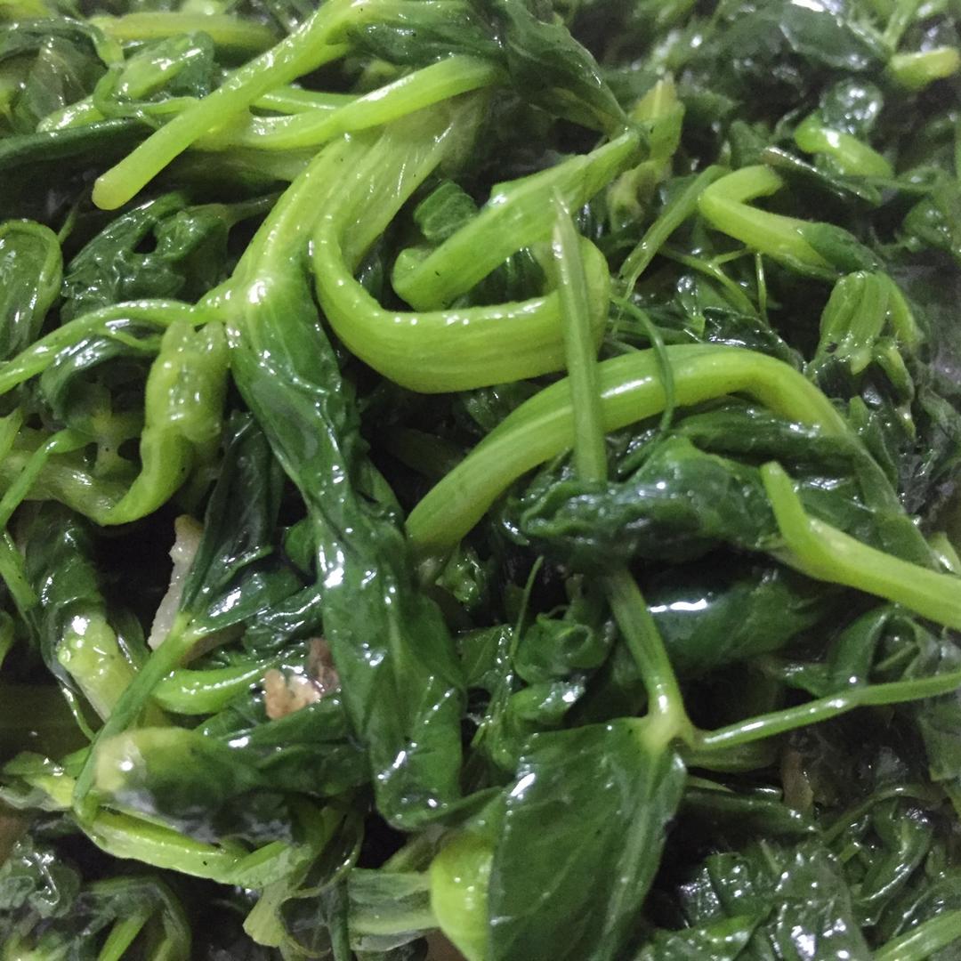 酒香豆苗