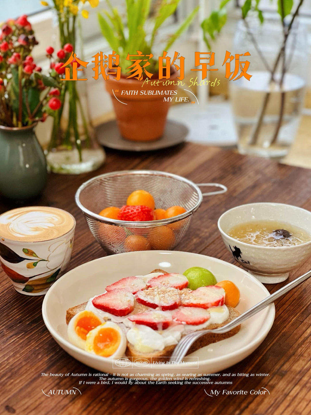 企鹅家的间歇性素食