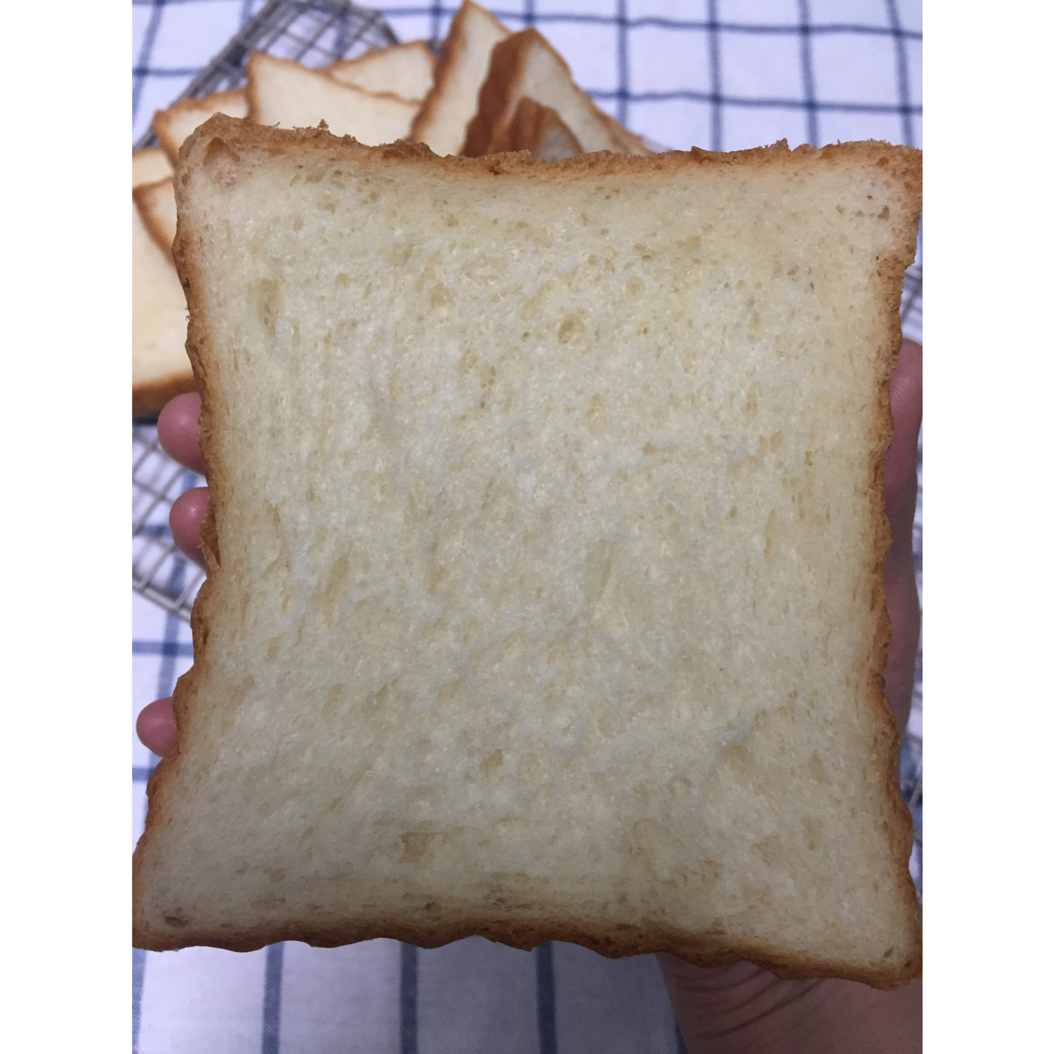 港式吐司～中种