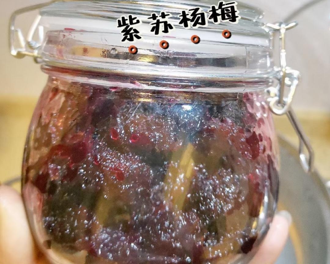 紫苏杨梅的做法