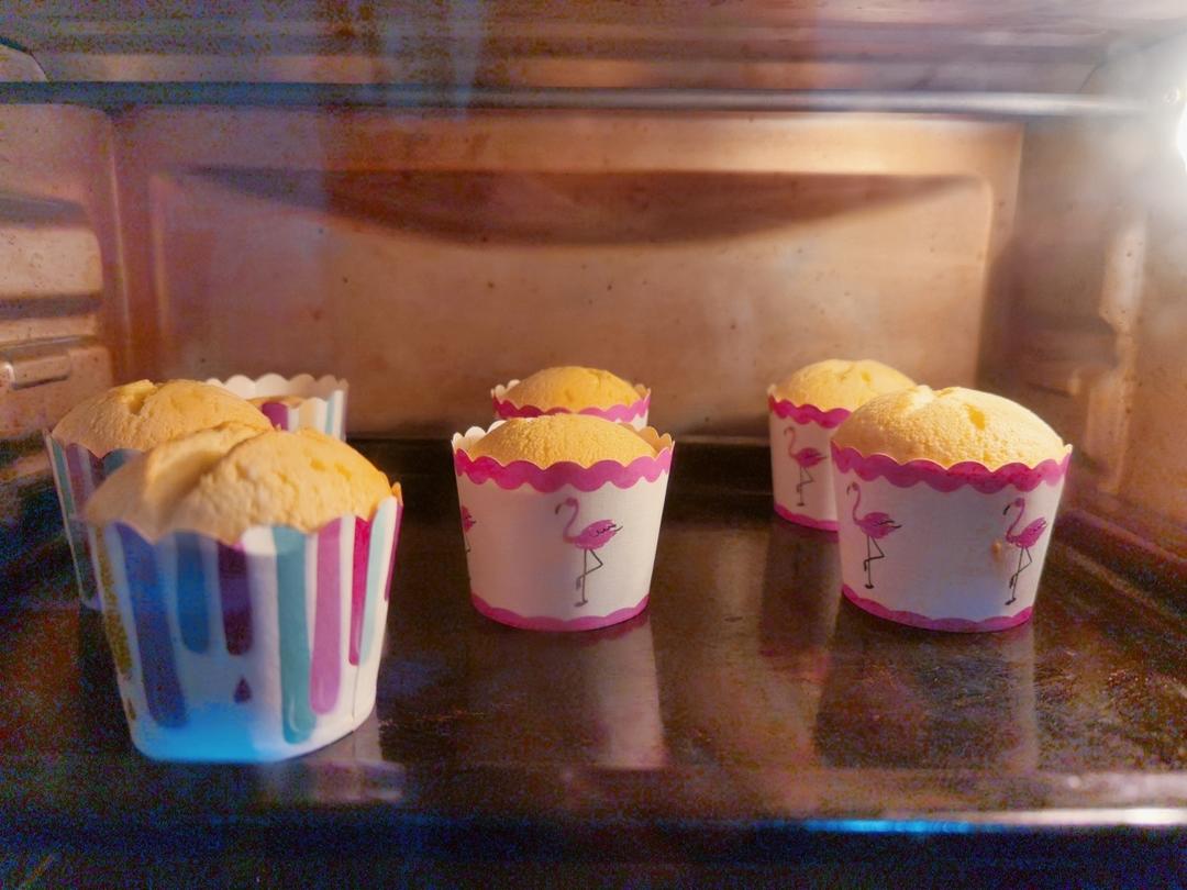 不回缩杯子蛋糕cupcake