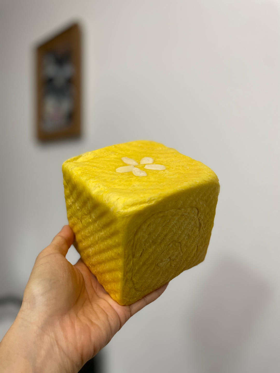 南瓜🎃小吐司🍞/250克水立方