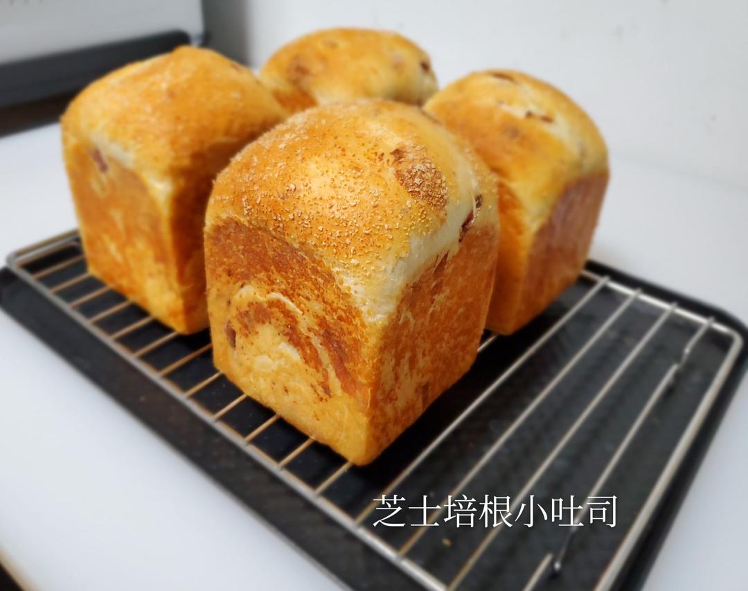元气满满吐司