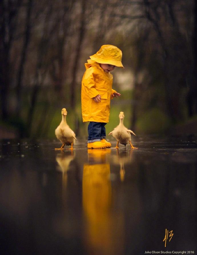 257卡金枪鱼沙拉三明治