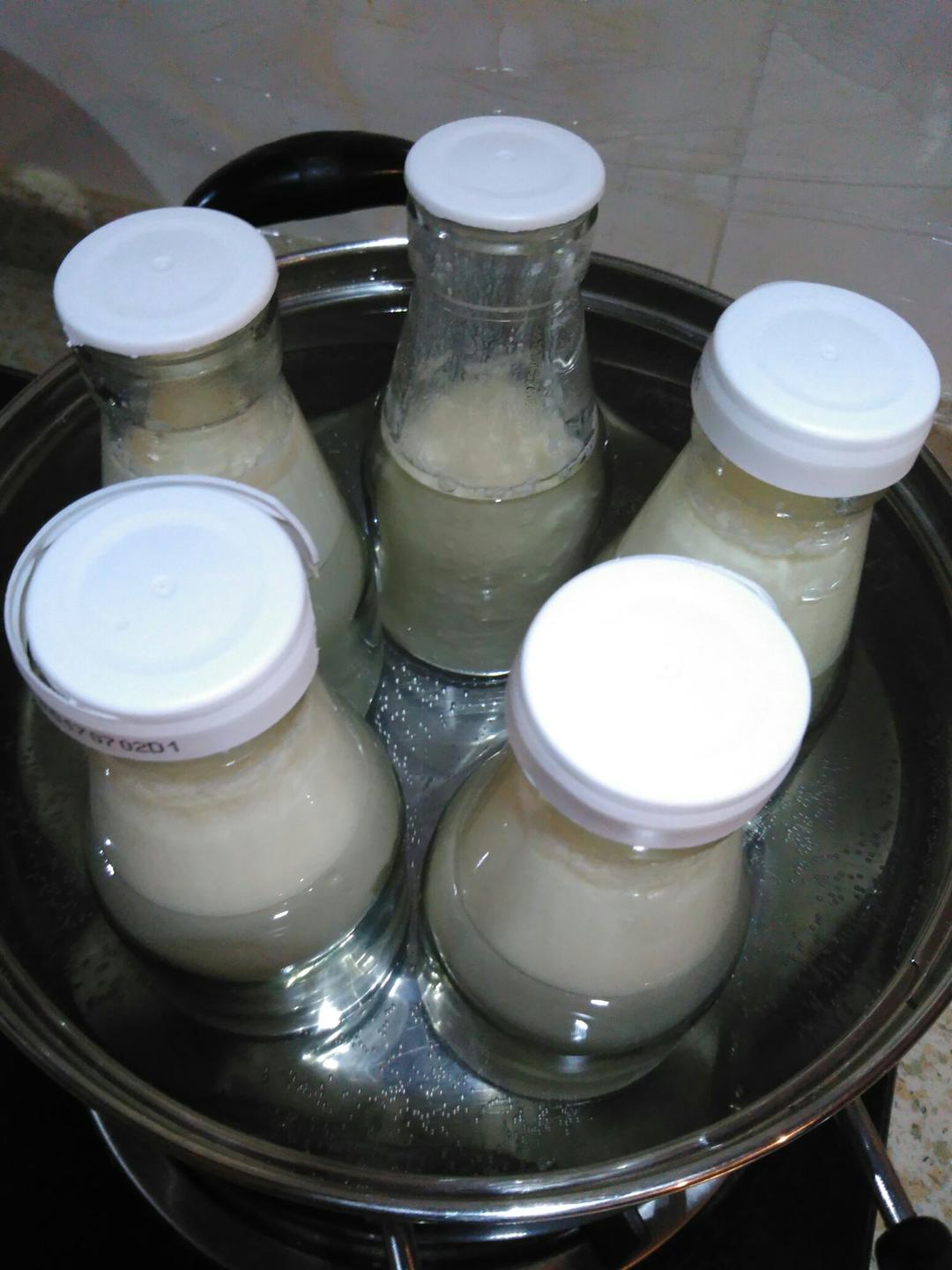 无需酸奶机的自制酸奶