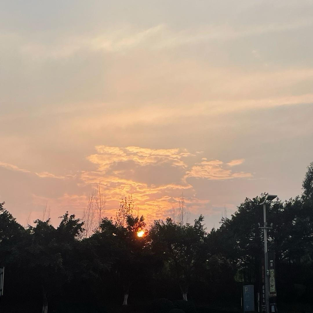 下厨房用户_nvcsd